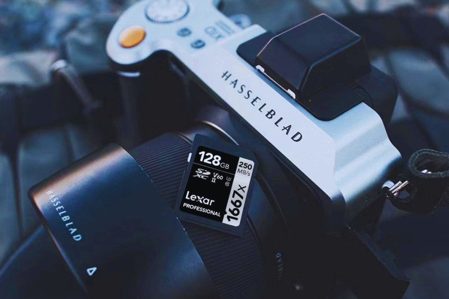 Lexar Professional 1667x Tarjeta de memoria SD 128GB, SDXC UHS-II, Hasta 250 MB/s de Lectura, Clase 10, U3, V60, SD para fotógrafo profesional, camarógrafo, entusiasta (LSD128CB1667)