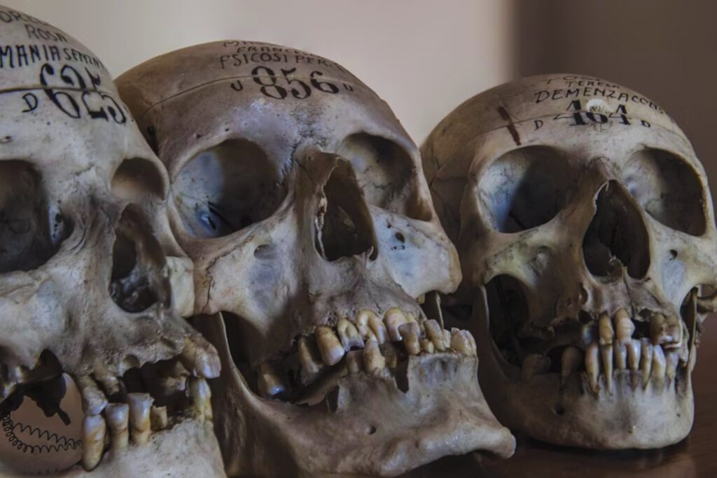 Lo que la evolución aún no puede explicar del rostro humano: Desafiando toda lógica evolutiva