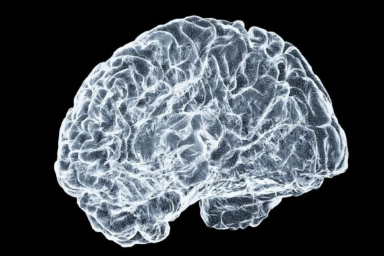 Siete señales de que el cerebro humano está dejando atrás todo lo que creíamos saber