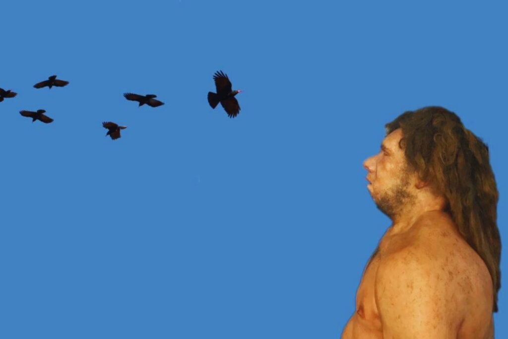 ¿Cazaban aves los neandertales? Un hallazgo revela sus sorprendentes prácticas en la cueva de Valdegoba