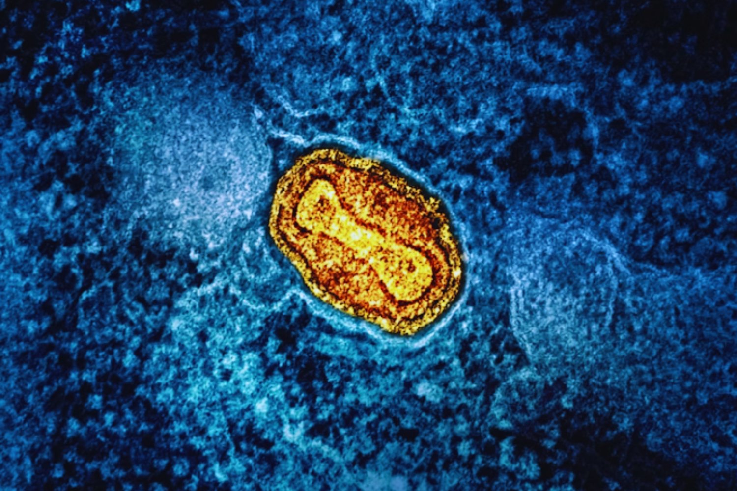 Revolución genética: la edición de ADN mitocondrial abre nuevas puertas para tratar enfermedades incurables