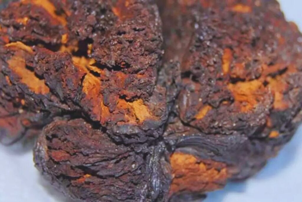 Un cráneo sellado por el fuego: el enigma del cerebro que sobrevivió 4.000 años