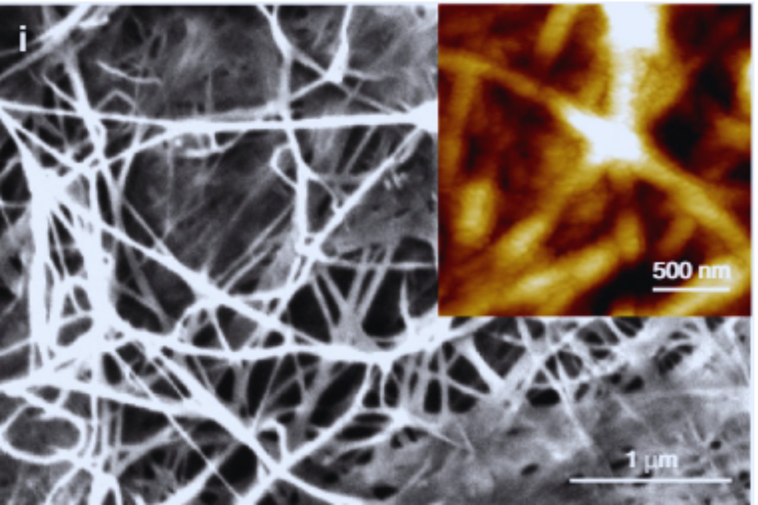 Un material del futuro creado con bacterias promete desbancar al plástico en todo el mundo