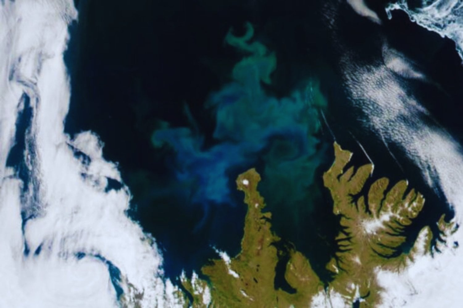 Un cráter olvidado bajo el mar: la anomalía en Malvinas que reescribe una extinción masiva
