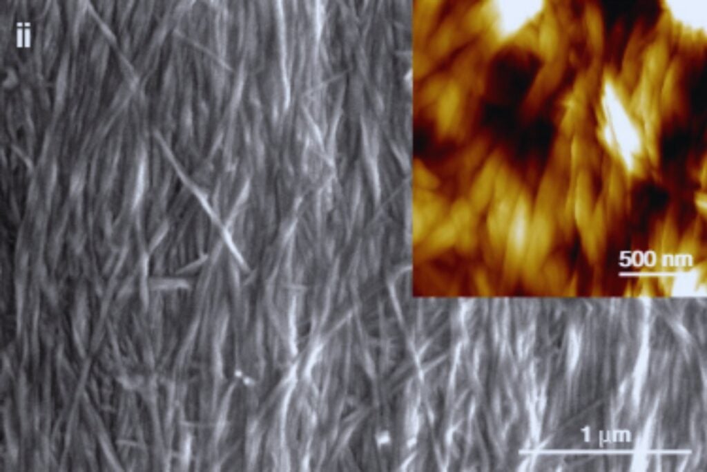 Un material del futuro creado con bacterias promete desbancar al plástico en todo el mundo