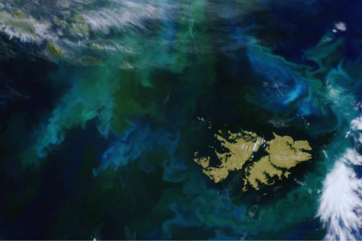 Un cráter olvidado bajo el mar: la anomalía en Malvinas que reescribe una extinción masiva