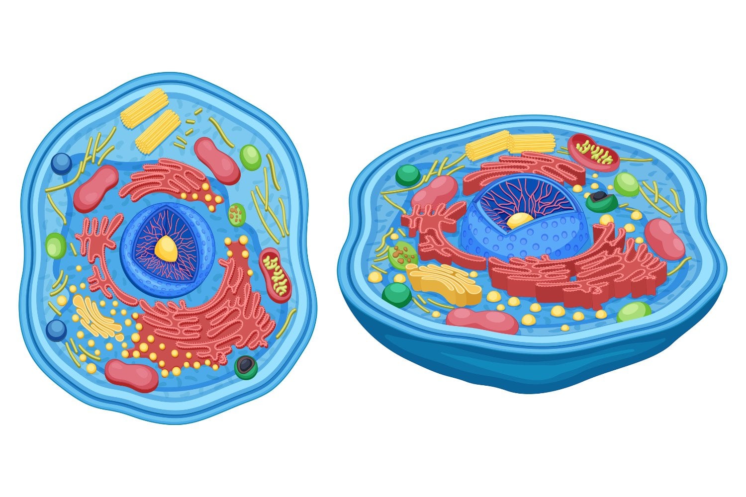 Lo que habita en tu intestino podría ser la clave para deshacernos de una amenaza invisible