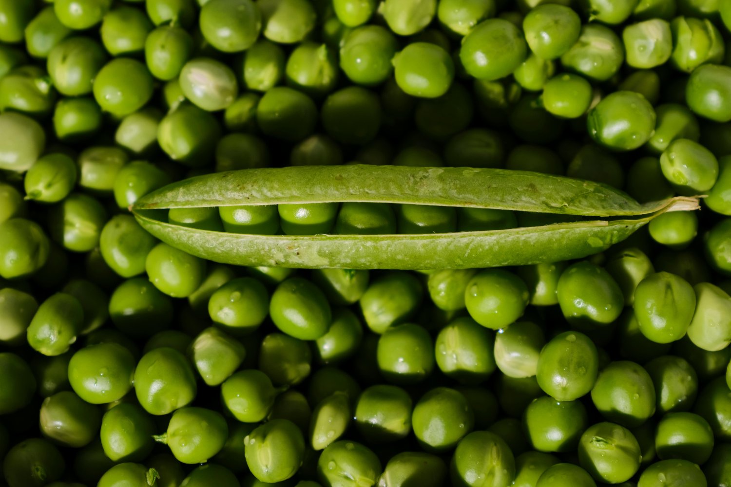 El secreto verde que transforma tu salud y tu cocina