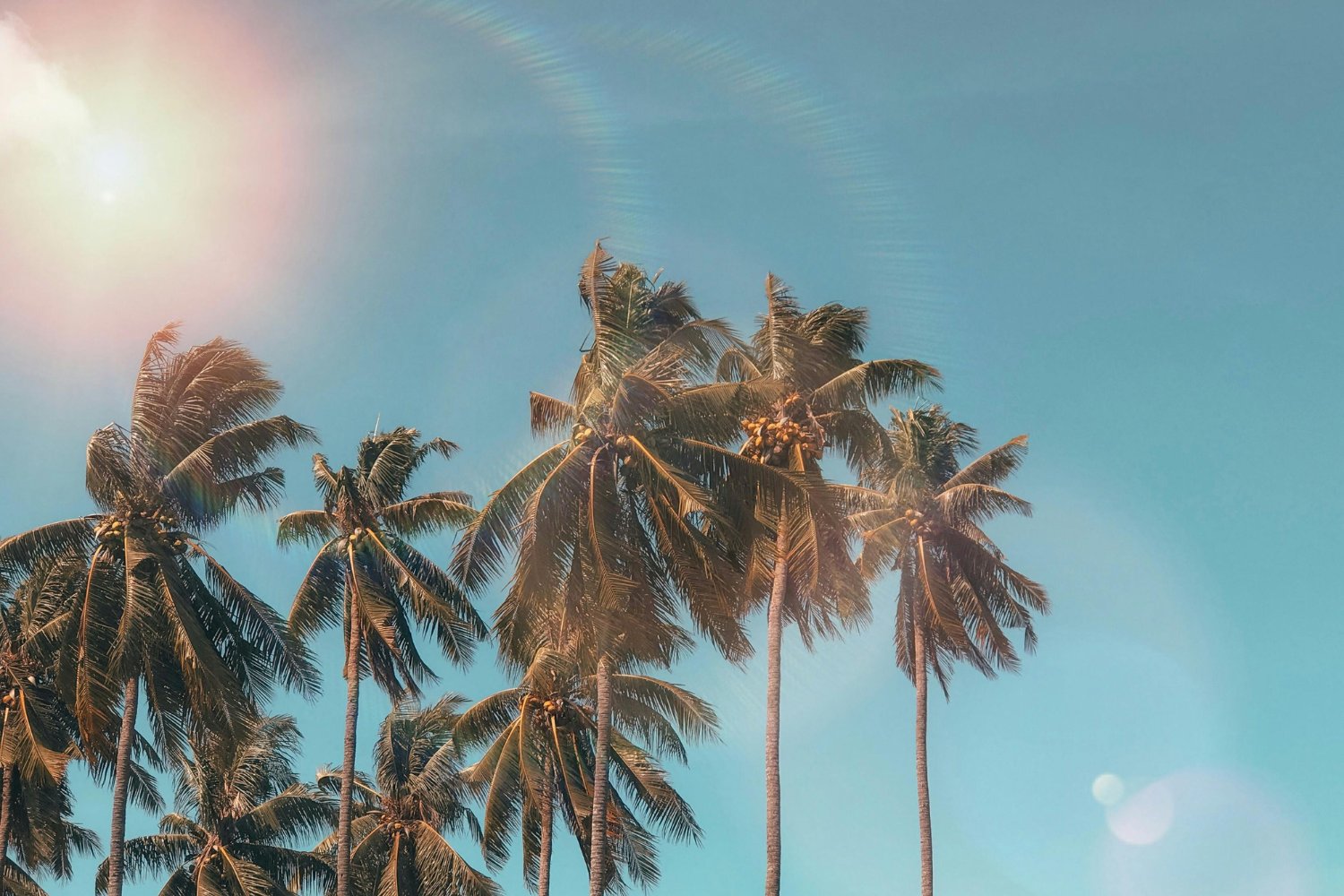 Lo que está por venir será peor: el verano ha cambiado para siempre y aún no hemos tocado fondo