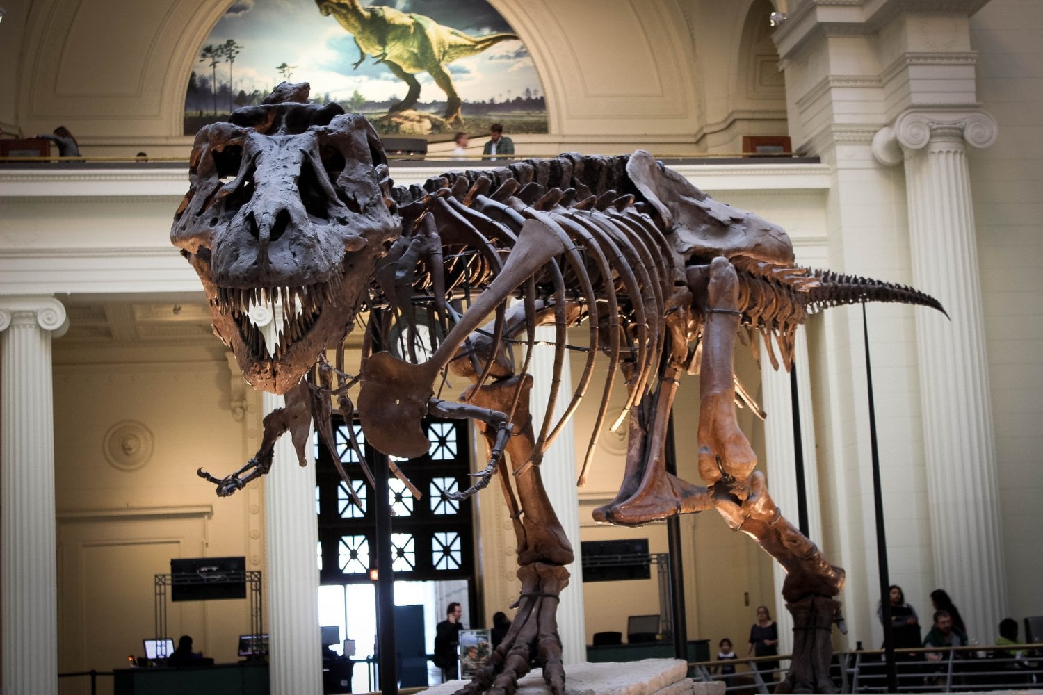 El secreto mejor guardado del T. rex: el enigmático dinosaurio hallado en Mongolia que cambia todo lo que creíamos saber