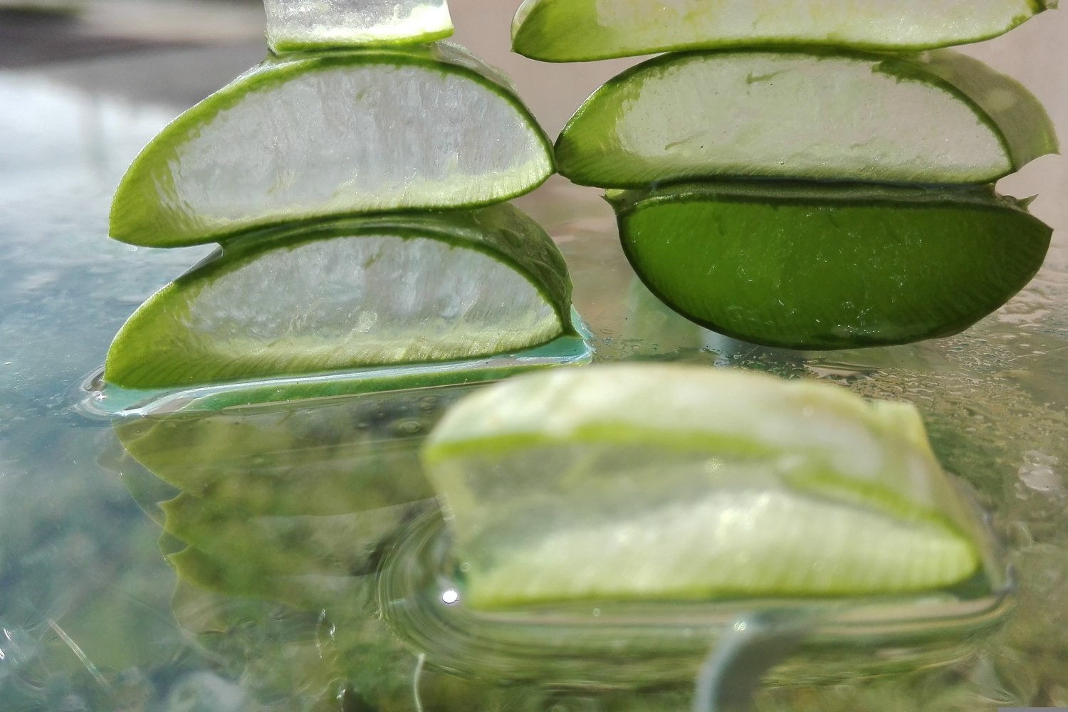 Este verde puede cambiar tu vida: el secreto natural que todos tienen en casa y no aprovechan
