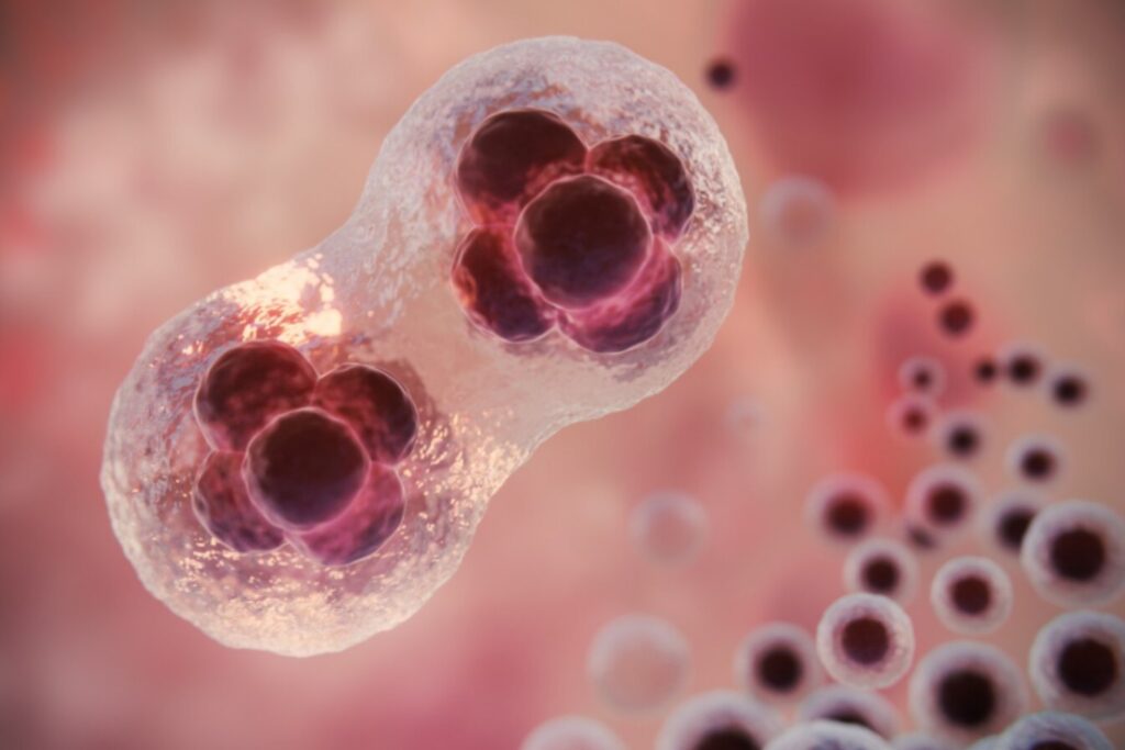 La promesa oculta en nuestras células: una vía inesperada contra un mal incurable