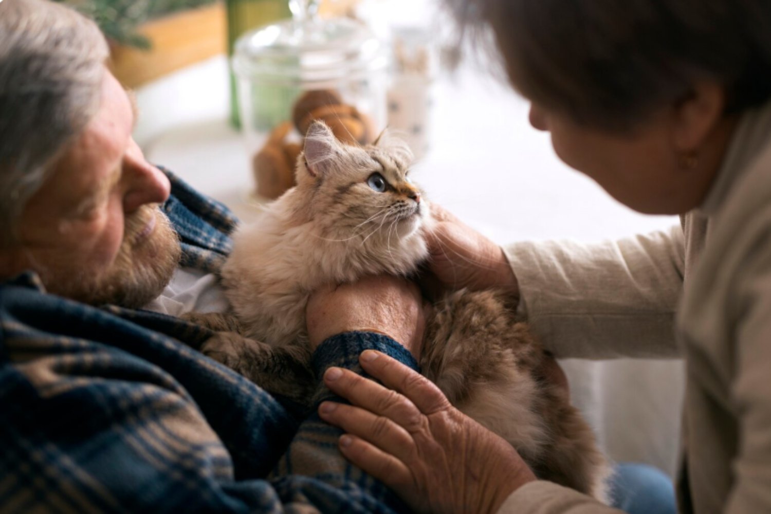 La sorprendente relación entre tener mascotas y mantener tu mente joven