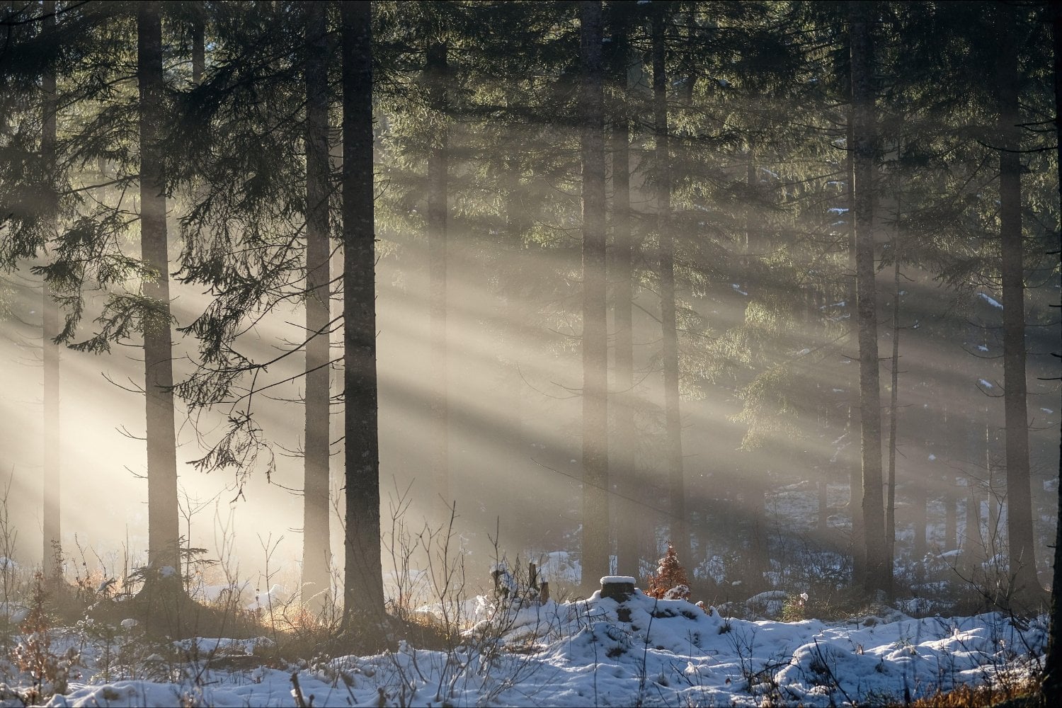 Cuando casi toda la humanidad ve la luz al mismo tiempo: el fenómeno solar que sorprende cada julio