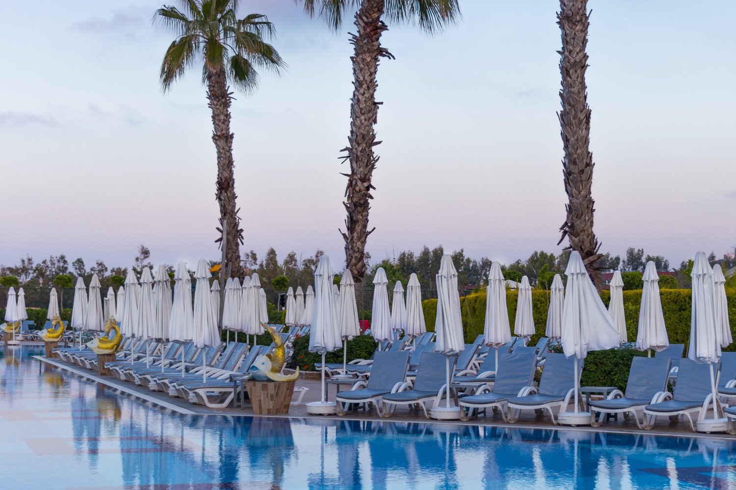 Lo que realmente flota en las piscinas públicas (y no es solo cloro)