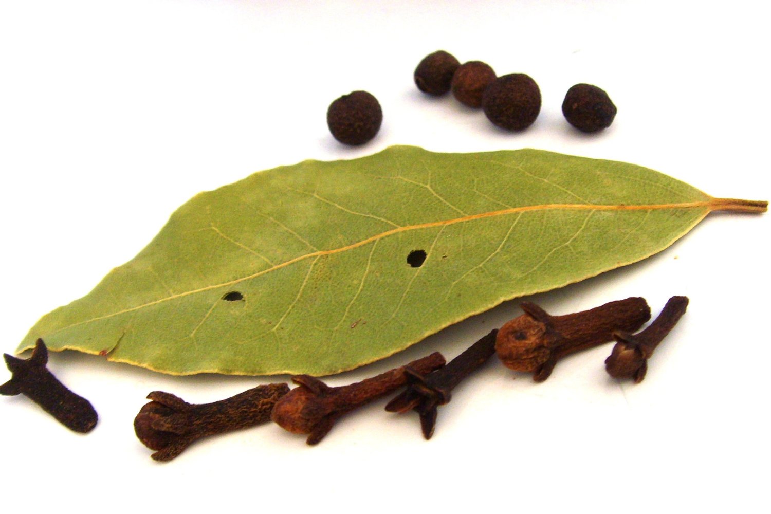 El truco natural que tu abuela sabía: la planta que espanta insectos y ratones sin químicos