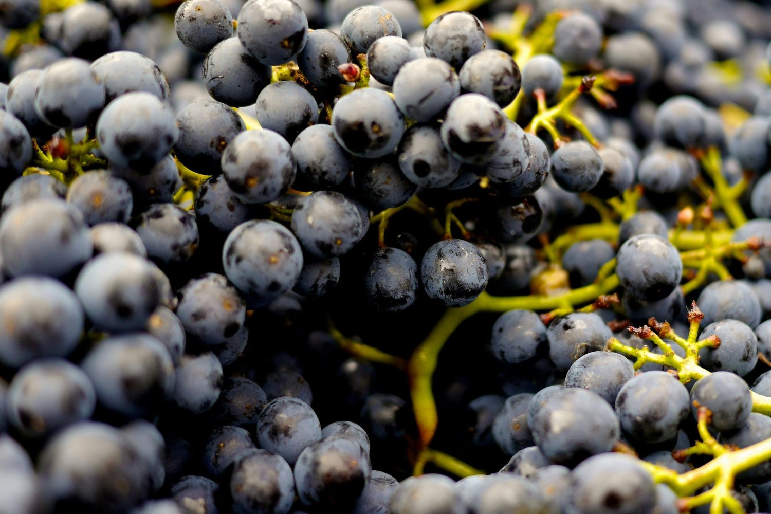 El vino que no emborracha: la inesperada revolución que seduce a los más jóvenes