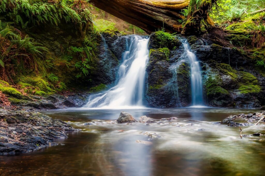 Una joya escondida entre hayedos: el paraje riojano donde el agua corta la respiración