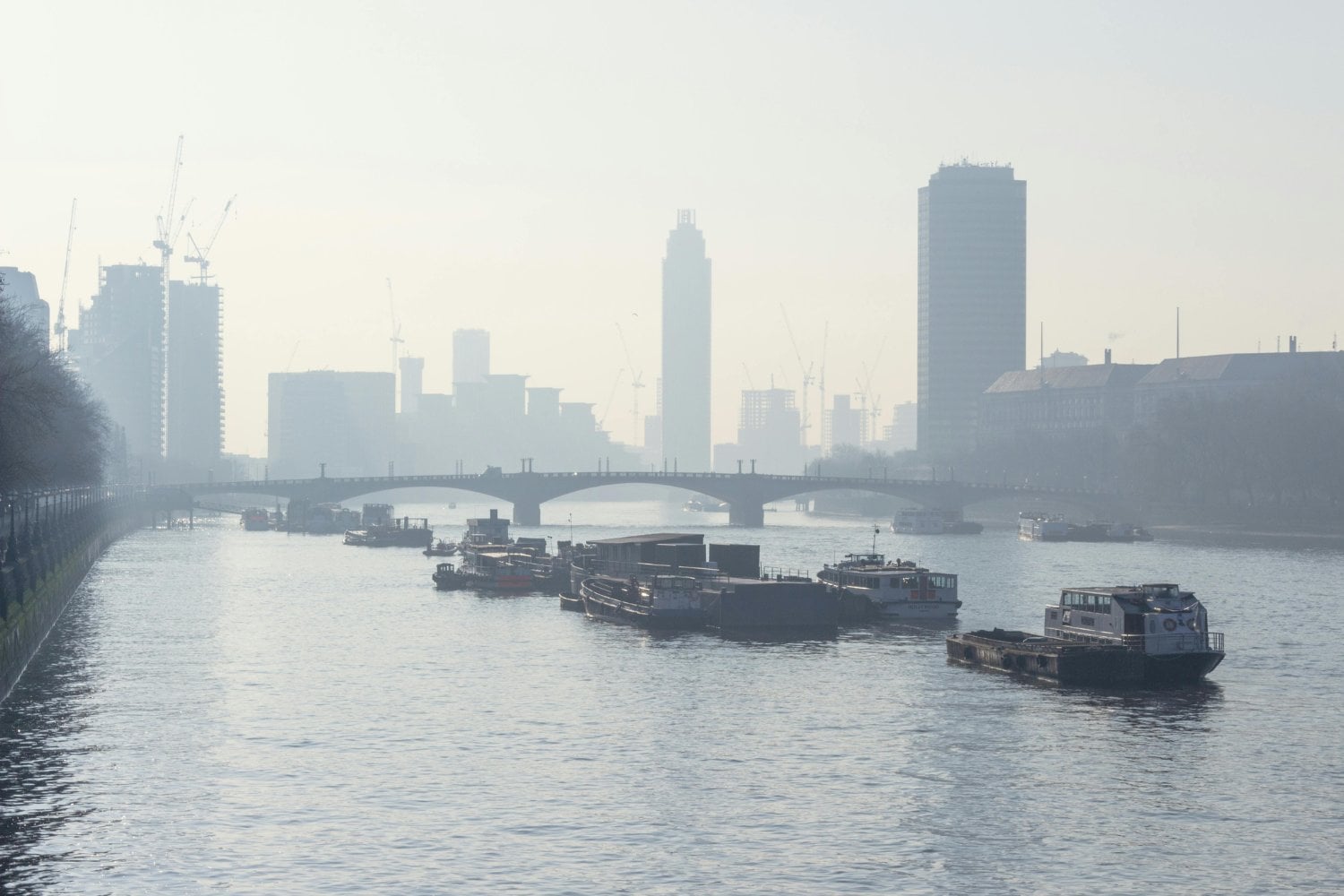 Lo que el ADN esconde sobre el aire que respiramos: una pista inquietante