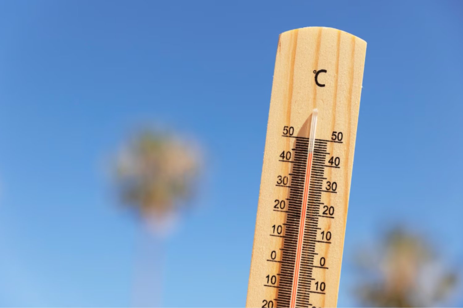El calor vuelve con fuerza: las provincias que entran en alerta y lo que debes saber antes del sábado