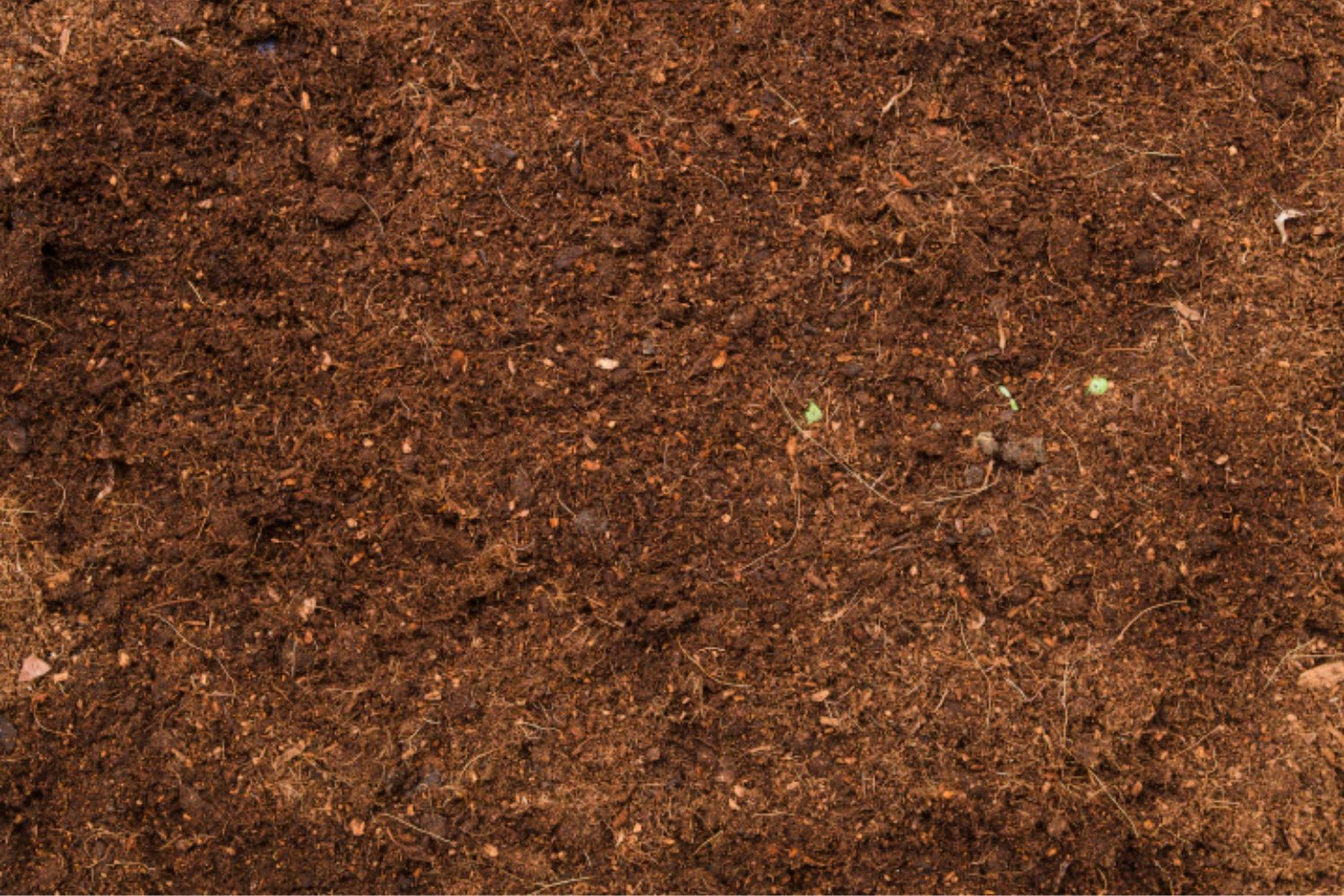 Trump y la nueva batalla por los minerales clave: el plan que desafía el dominio de China