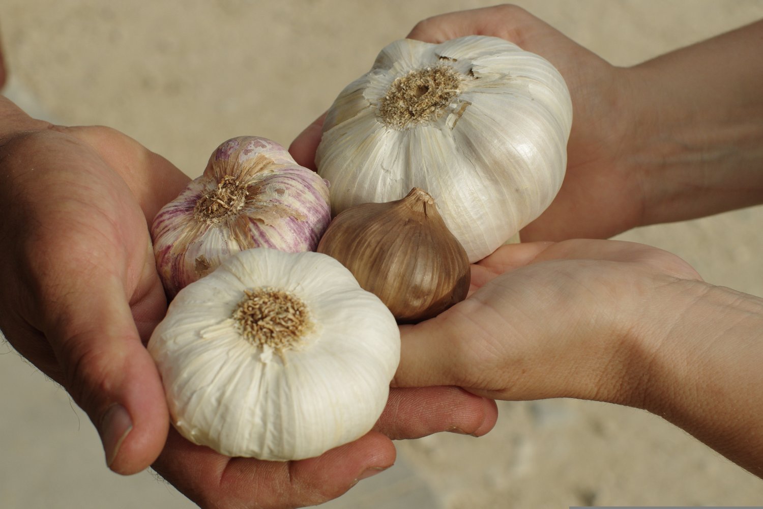 El alimento común que esconde un superpoder si lo consumes de esta forma