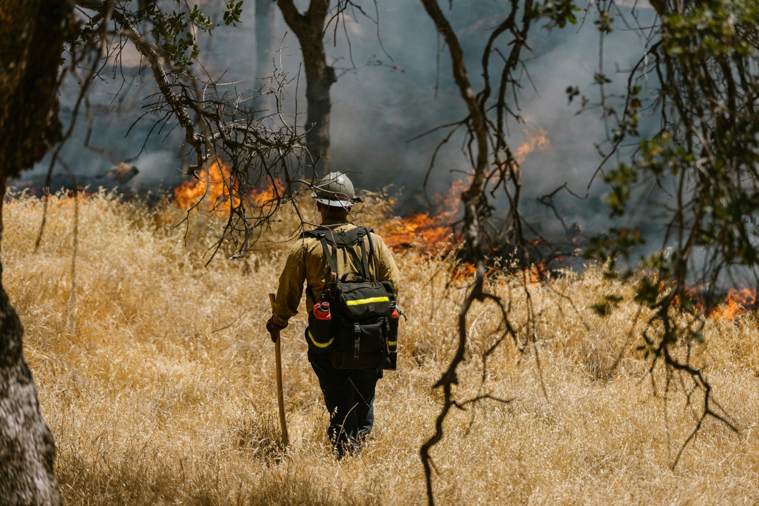El ingrediente invisible que está avivando los incendios forestales