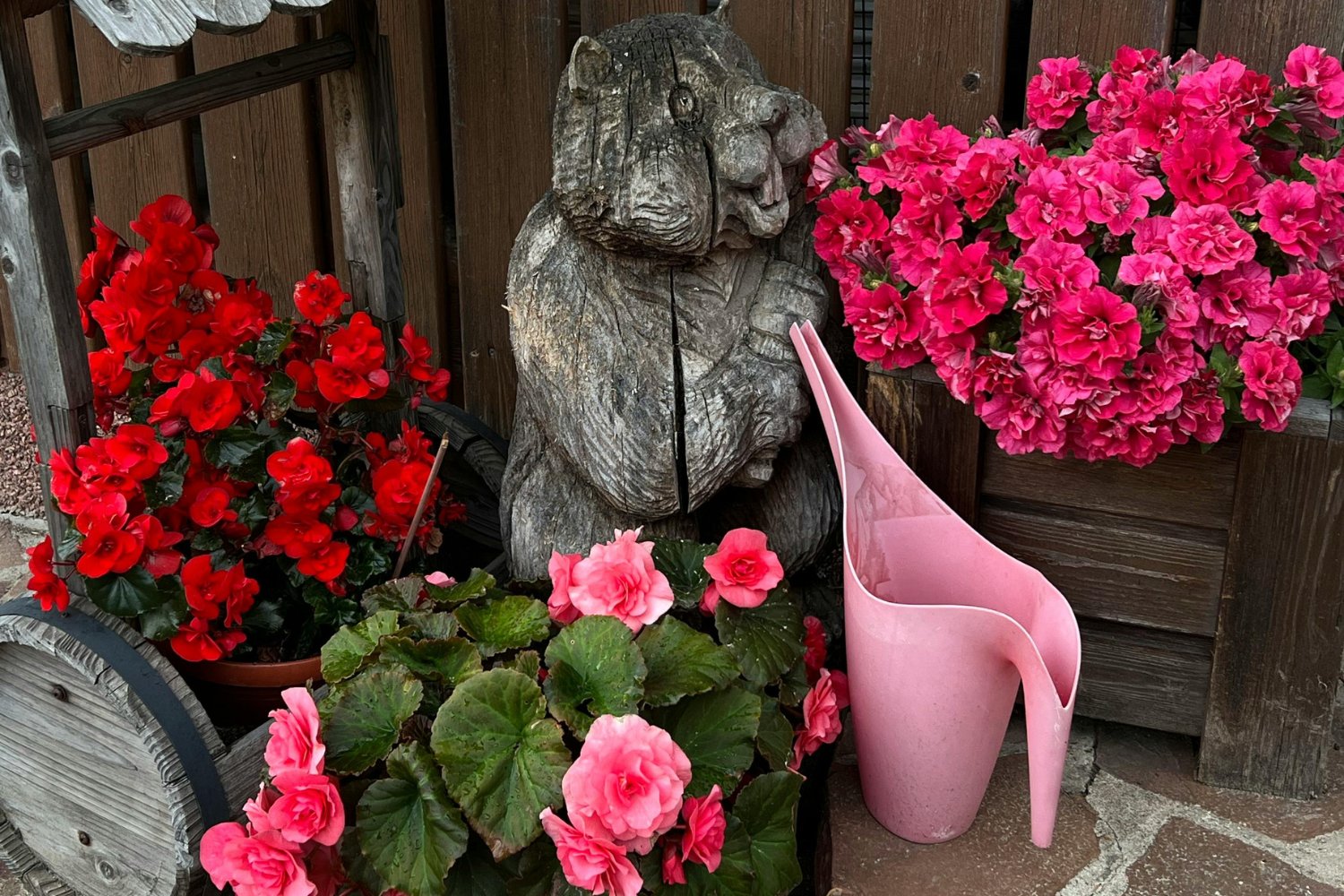 Estas plantas transforman tu piso sin esfuerzo (y casi sin cuidados)