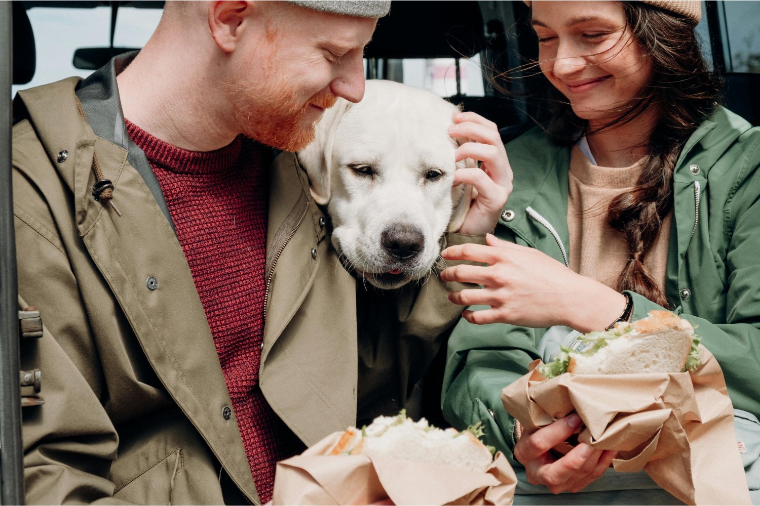Los alimentos que podrían estar envenenando a tu perro sin que lo sepas