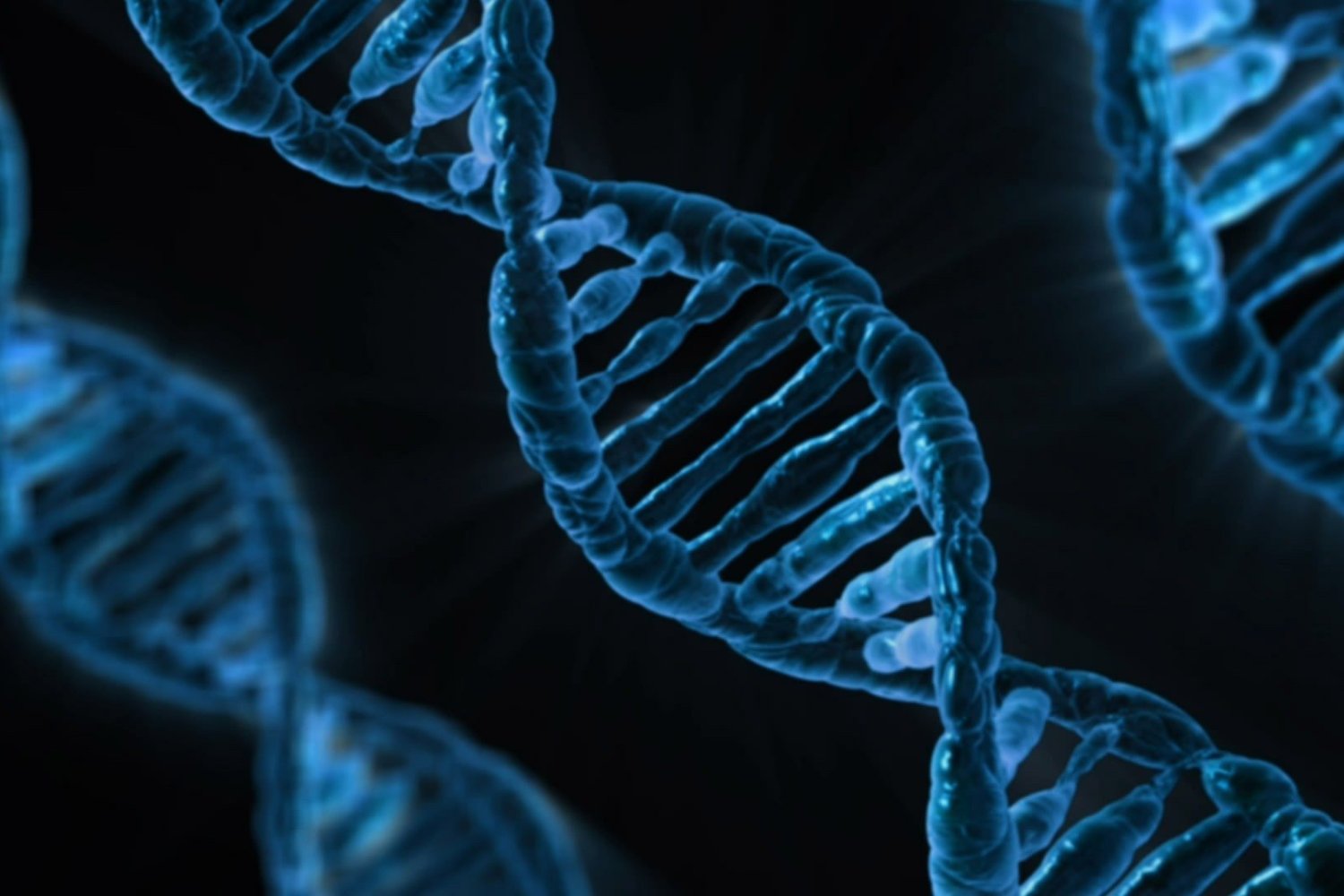 ¿Y si ya está escrito en tus genes? Lo que la ciencia dice sobre tu forma de ser