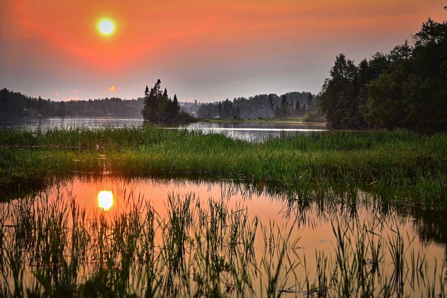 Estamos destruyendo los humedales y sin ellos no hay futuro: esto es lo que está en juego