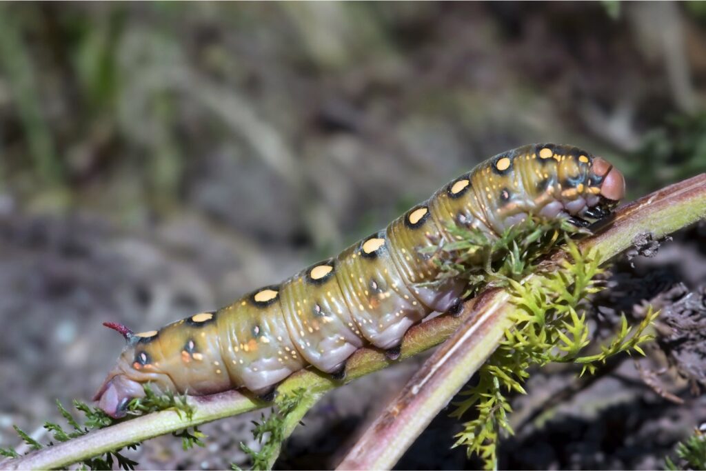 La transformación invisible: señales de una naturaleza que se reinventa frente al caos climático
