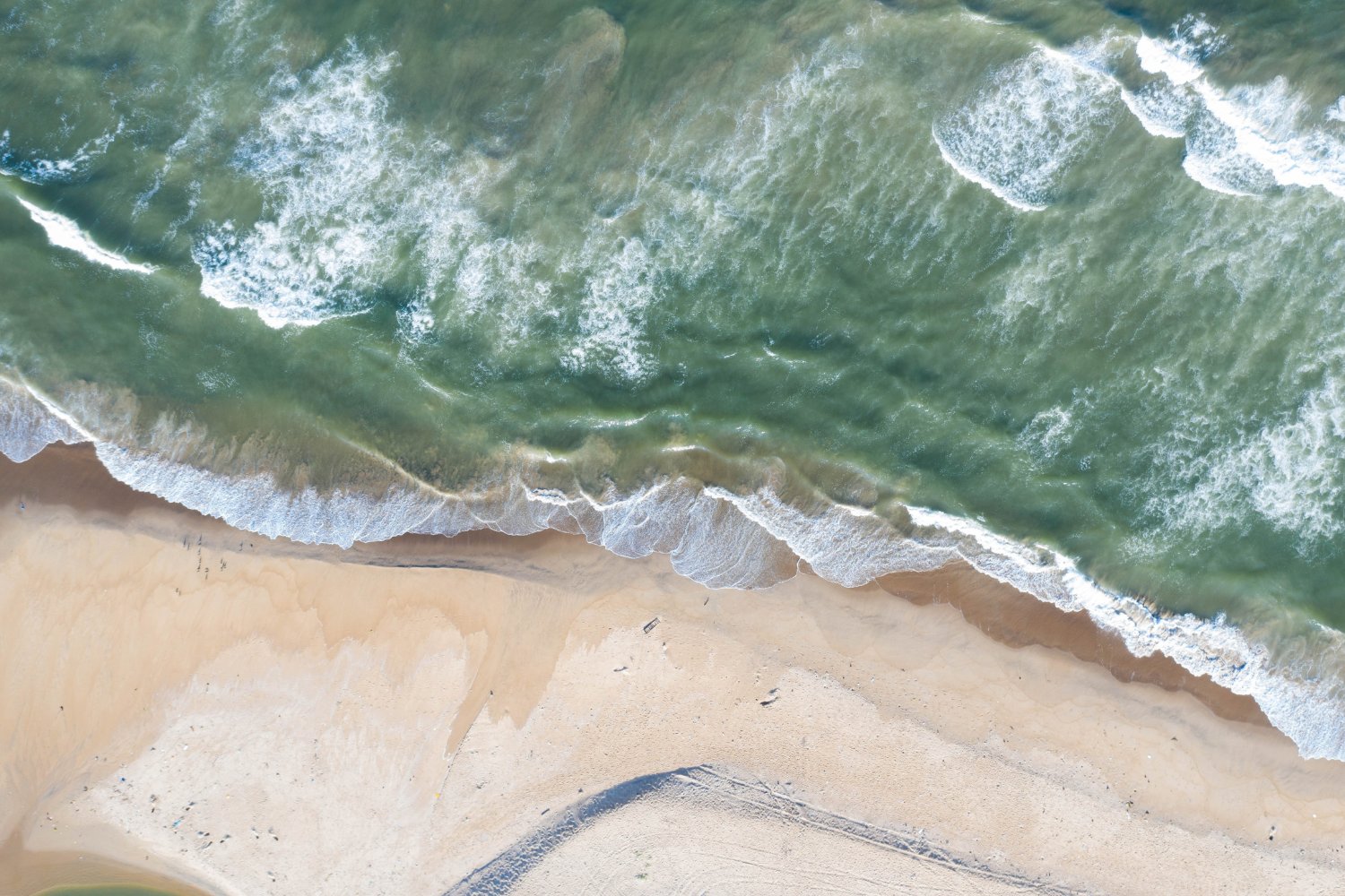 La criatura luminosa que se esconde bajo el agua: lo que debes saber antes de entrar al mar