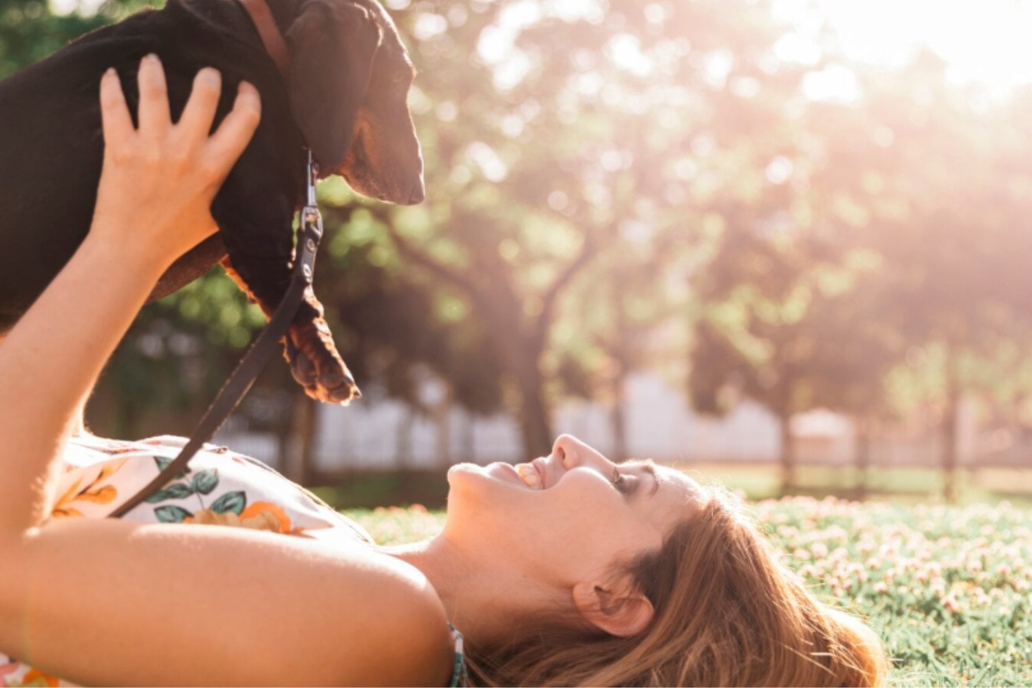 La ciencia lo confirma: tener un perro puede transformar tu salud física, mental y emocional