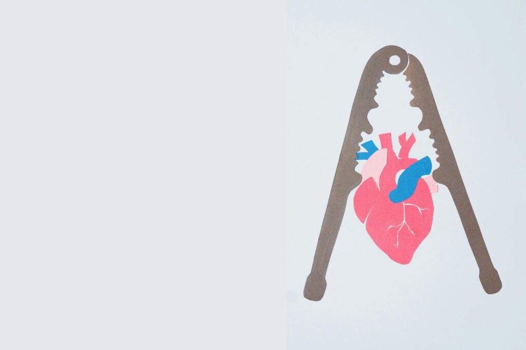 Lo que arde no se ve: cómo el humo de los incendios forestales podría estar dañando tu corazón en silencio