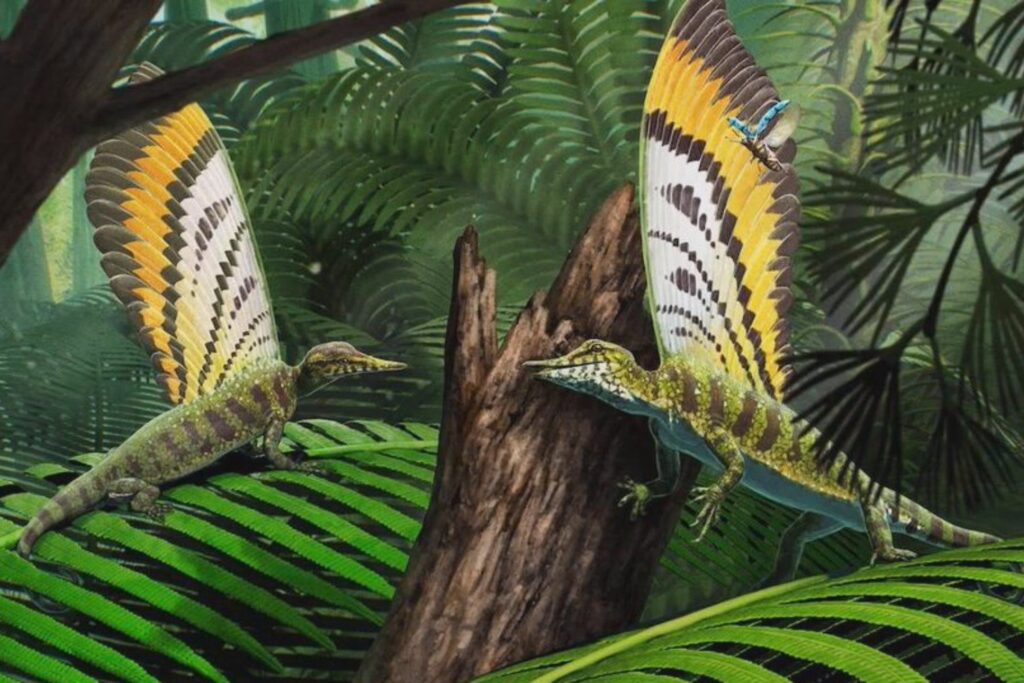 Descubren un "reptil milagroso" con cresta similar a una pluma que vivió antes que los dinosaurios