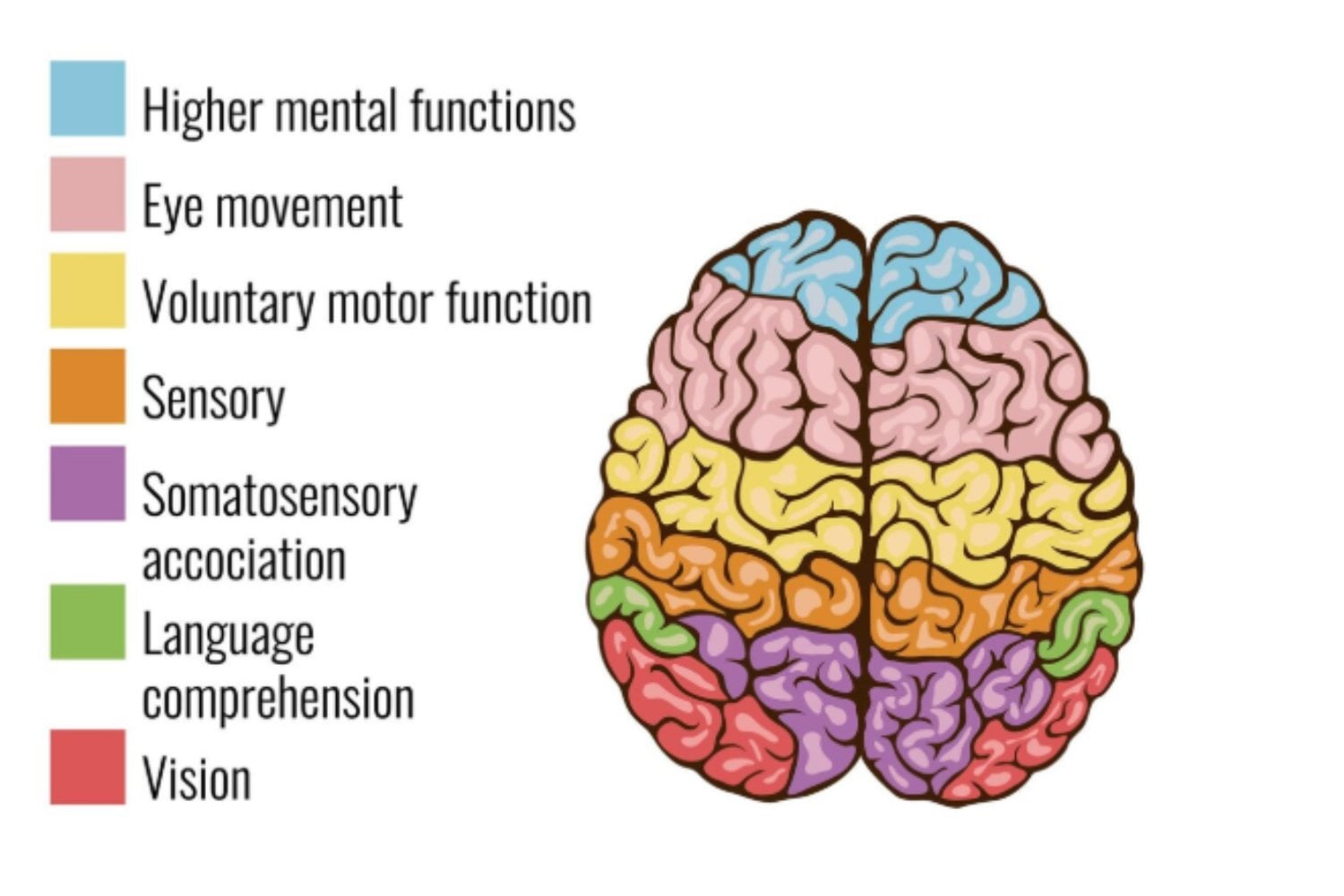Tu cerebro es la clave: así puedes rendir más trabajando menos