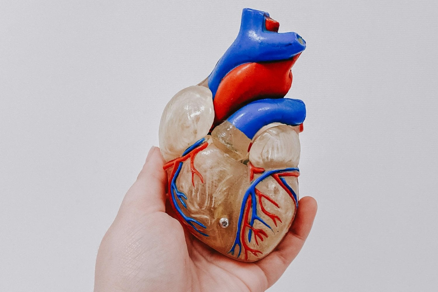 ¿Un corazón impreso que late como uno real? La inesperada clave que podría hacerlo posible