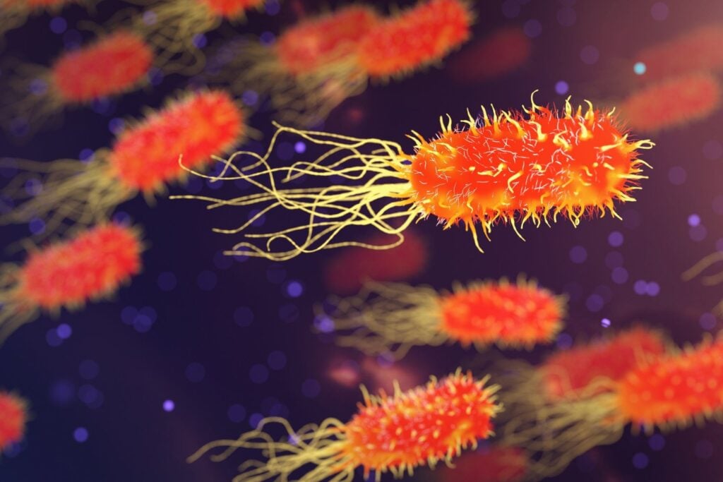 La bacteria carnívora que reaparece cada verano: el nuevo riesgo oculto en las aguas europeas