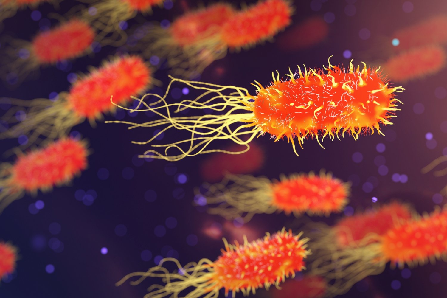 La bacteria carnívora que reaparece cada verano: el nuevo riesgo oculto en las aguas europeas