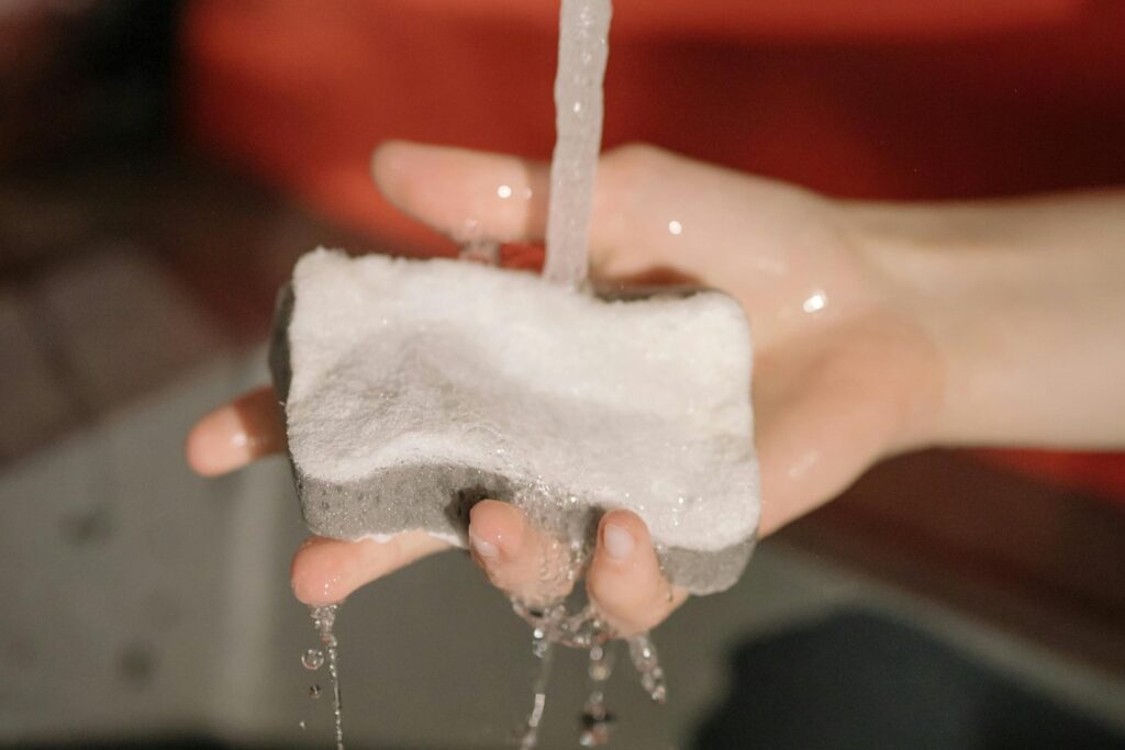 Calentar La Esponja En El Microondas Mata Germenes