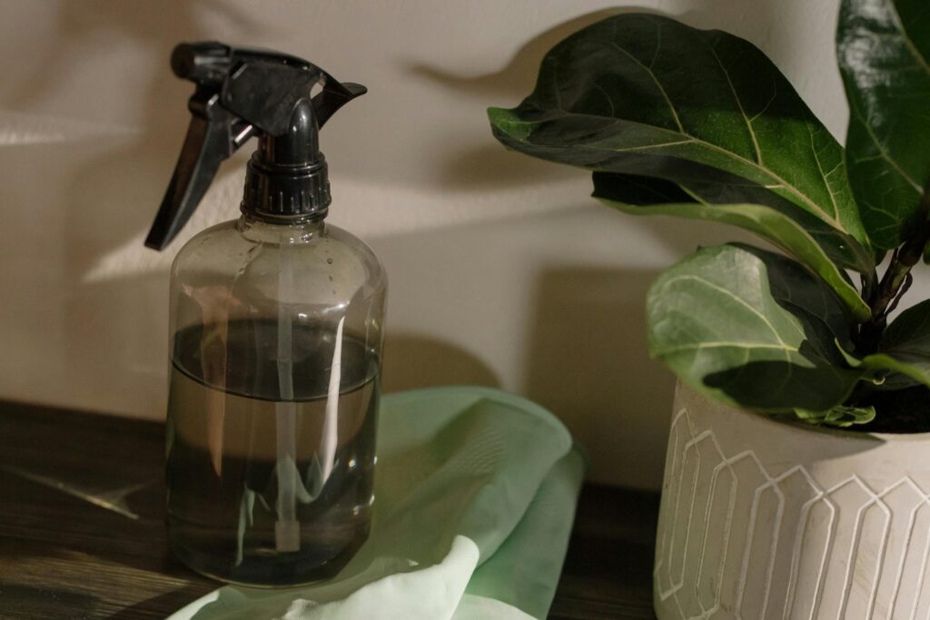 Cual Es El Lugar Mas Contaminado De Una Casa Y Como Desinfectarlo