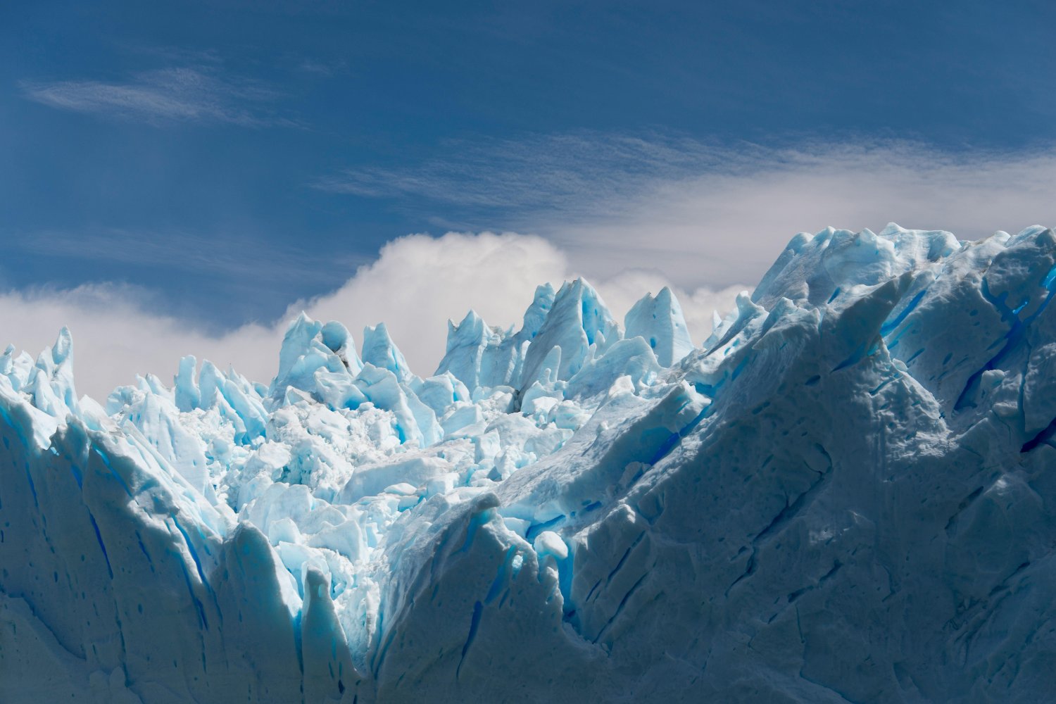 El Efecto Del Guano Contra El Cambio Climatico