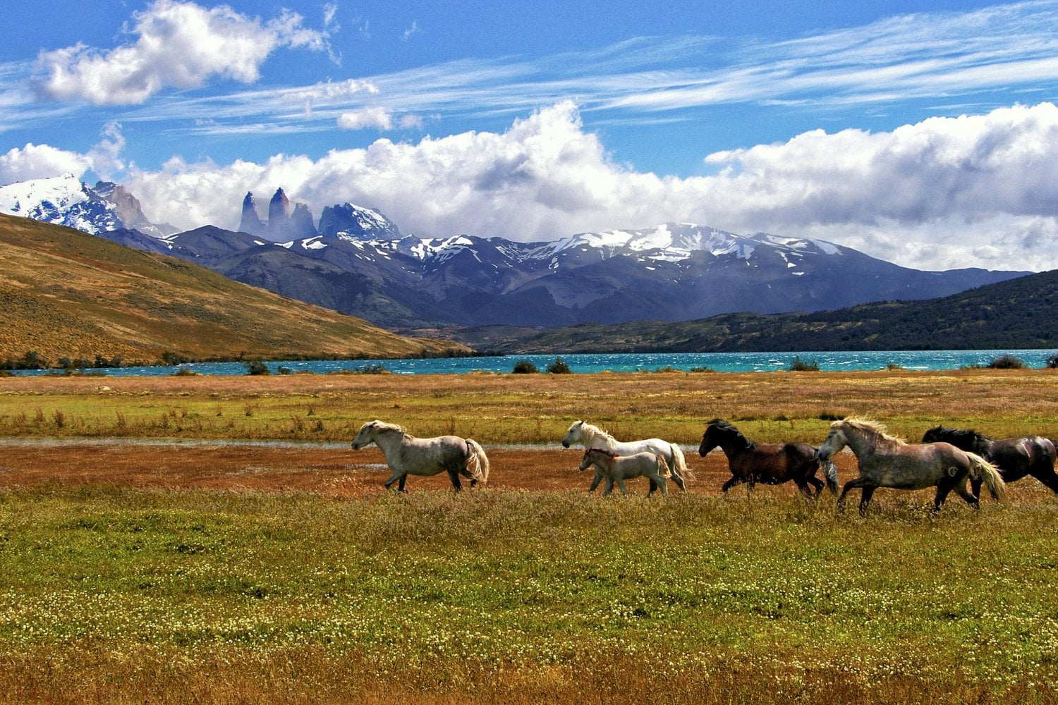 El Lago Epuyen Se Encuentra En La Patagonia Argentina