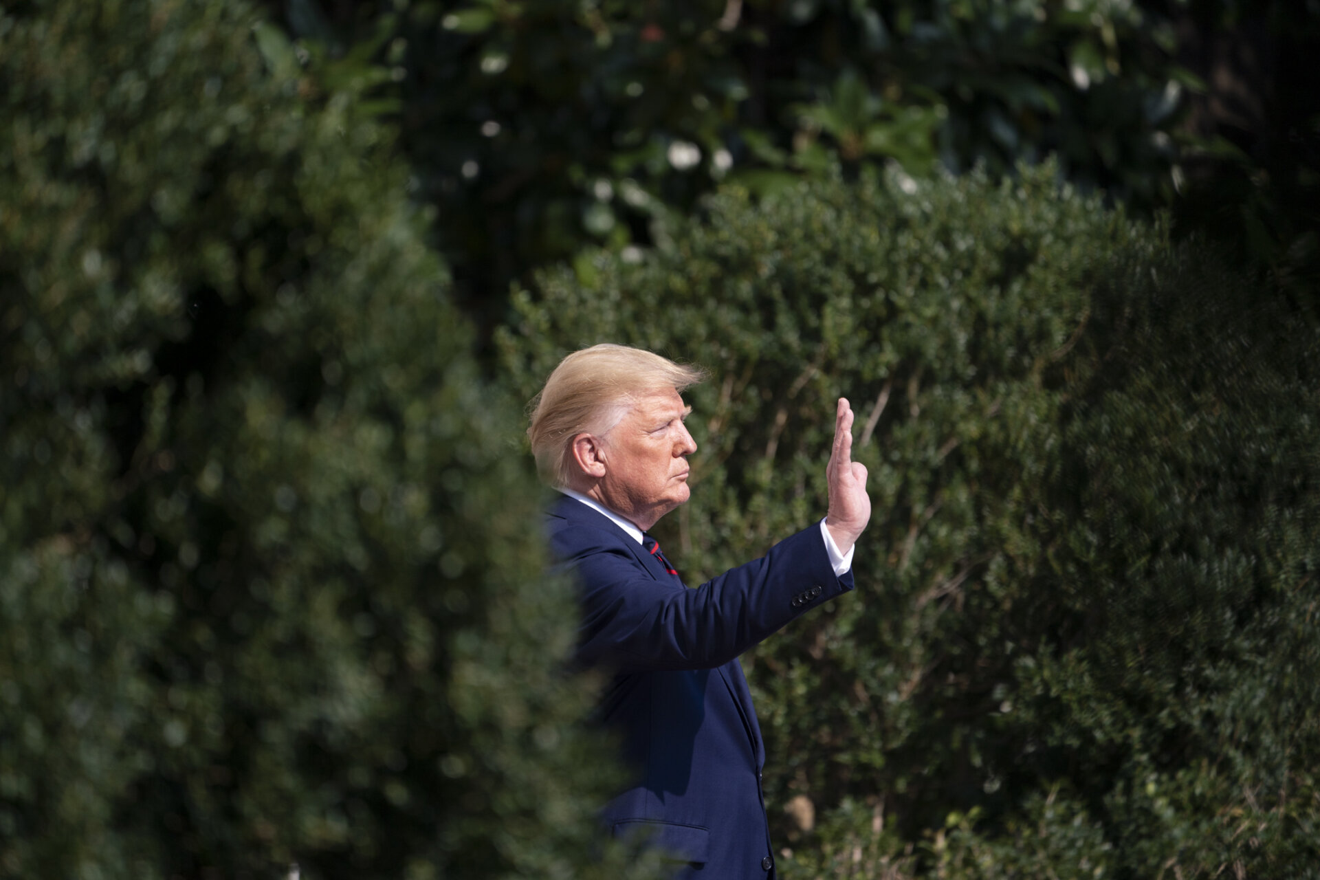 Trump lanza una sorprendente amenaza contra Musk: ¿deportación y el poder del DOGE?