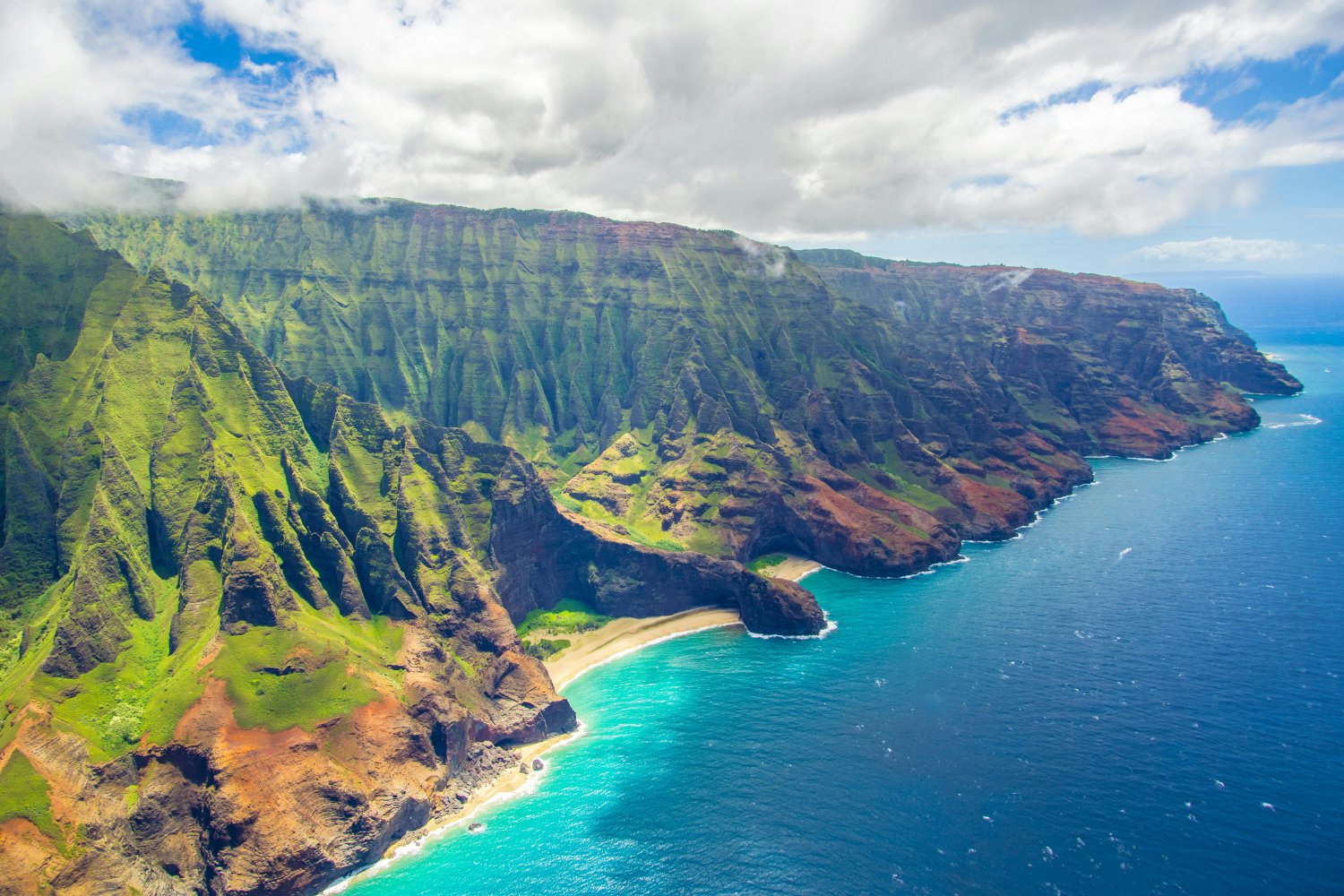 Lanzan Mosquitos En Hawai Para Salvar Aves Nativas