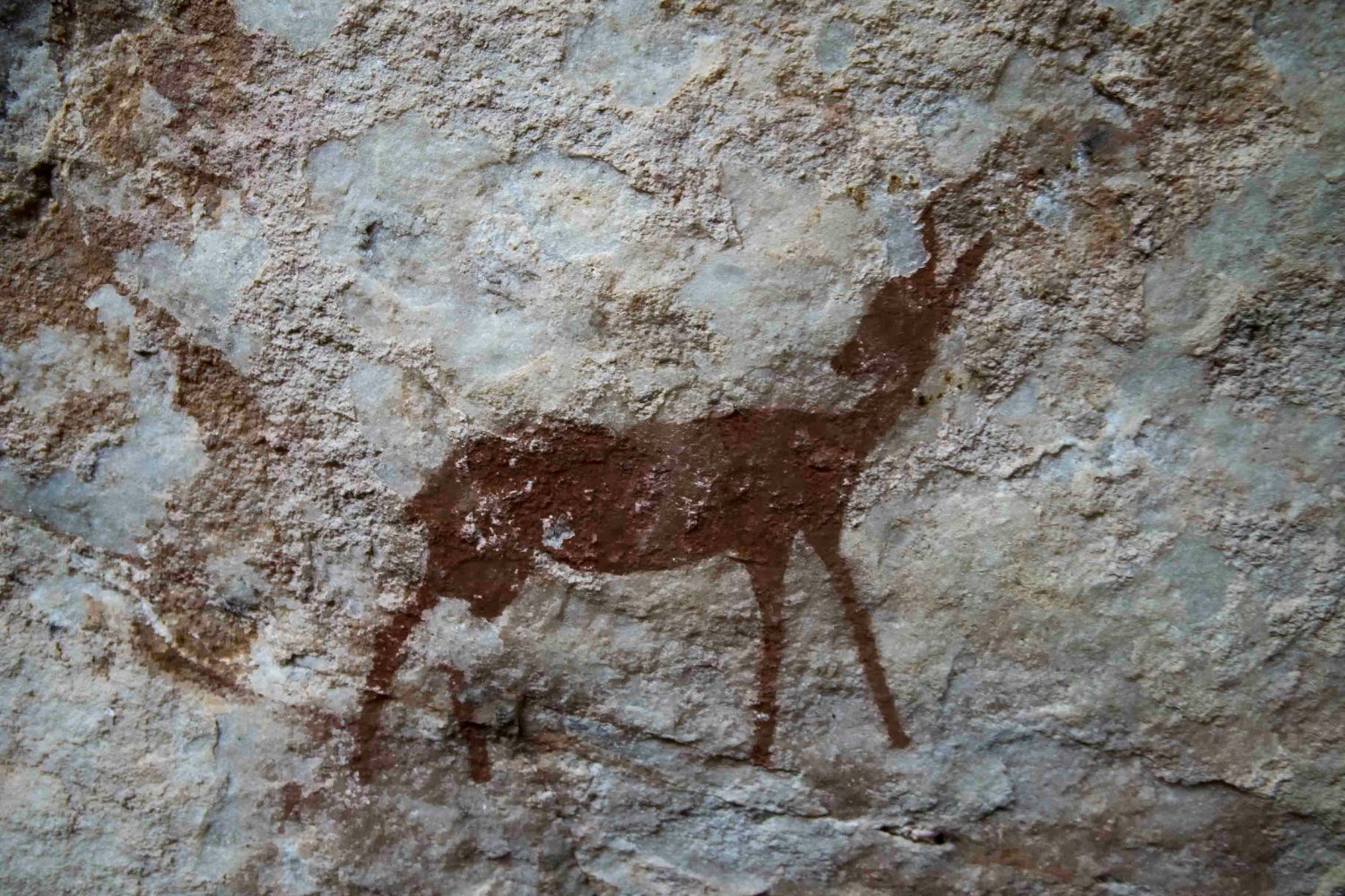Nuevas Teorias Sobre La Evolucion Humana