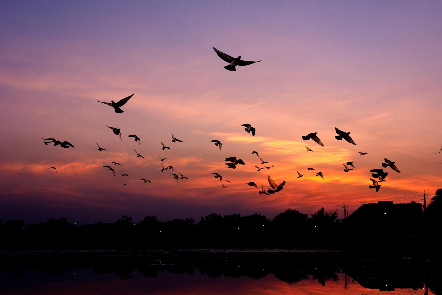 Premonicion De Terremotos Basada En Animales