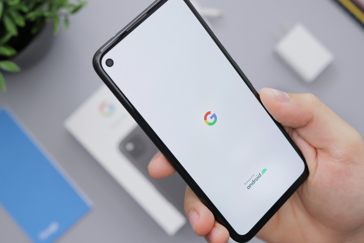Que Hacer Cuando Google Se Cae