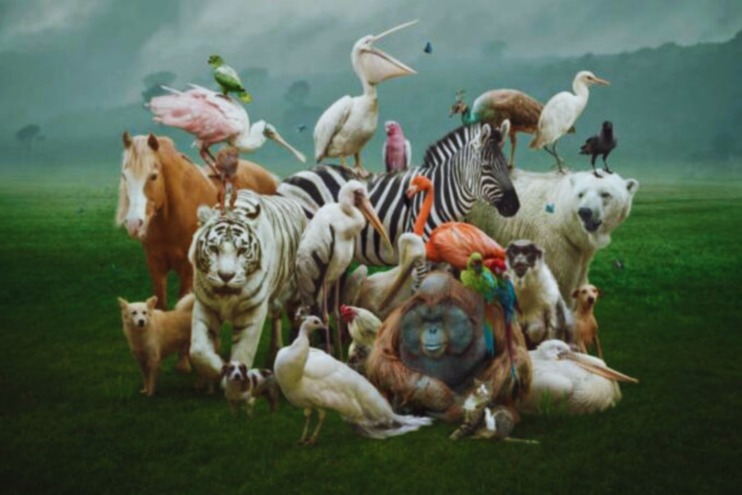 El enigma de la biodiversidad: cómo la vida explotó en ráfagas y no en calma